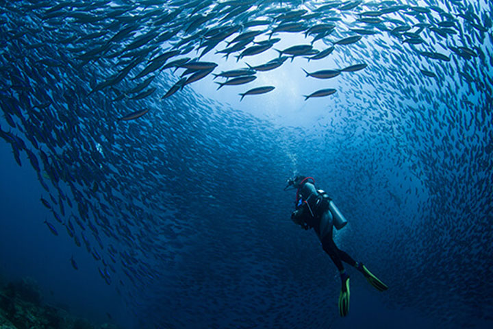 Tulamben Dive Site