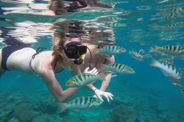 Snorkeling Padang Bai