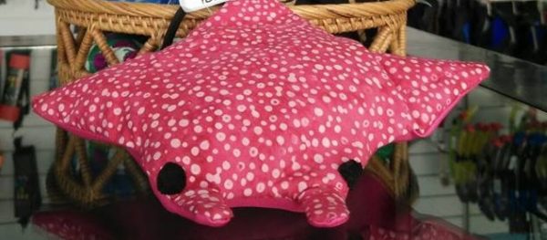 39015430_1817170888365089_6658912189002285056_n